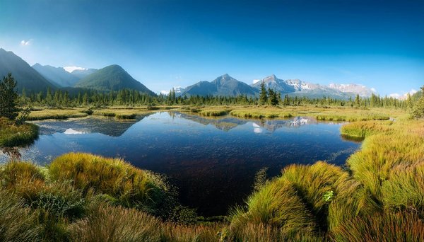 Découvrez les services uniques du camping de kérantérec !